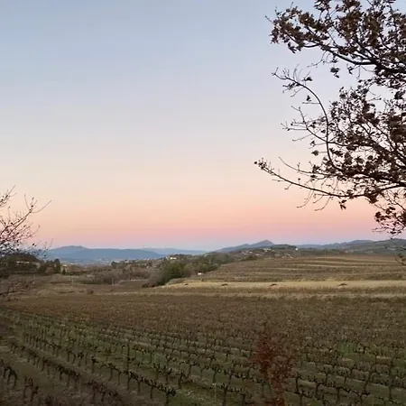 La Combe De Lamaron