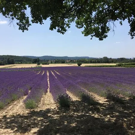 La Combe De Lamaron * Bollène